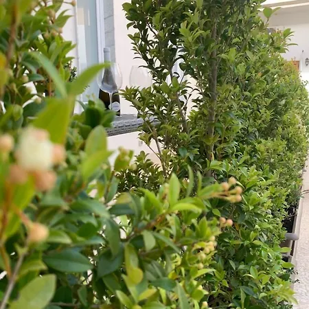 Bed & Breakfast Thalya Luxury 4*