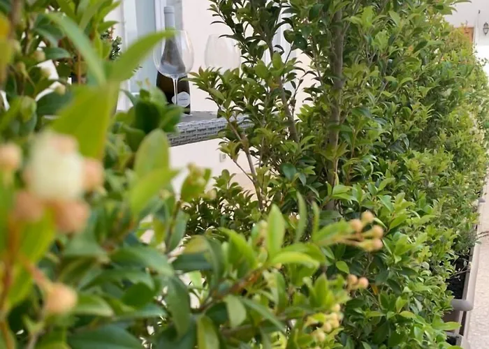 Alojamento de Acomodação e Pequeno-almoço Thalya Luxury 4*